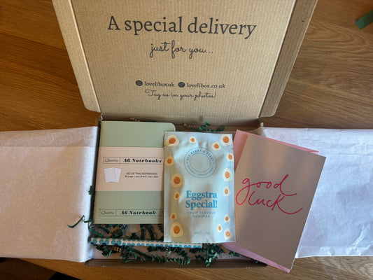 Exam Ready Blue | Ready to Go LoveliBox