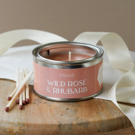 Wild Rose and Rhubarb Paint Pot Candle